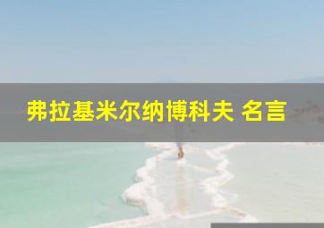 弗拉基米尔纳博科夫 名言